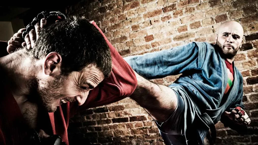 Art and Rules of Sambo