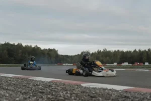 Facts About Go-Karts