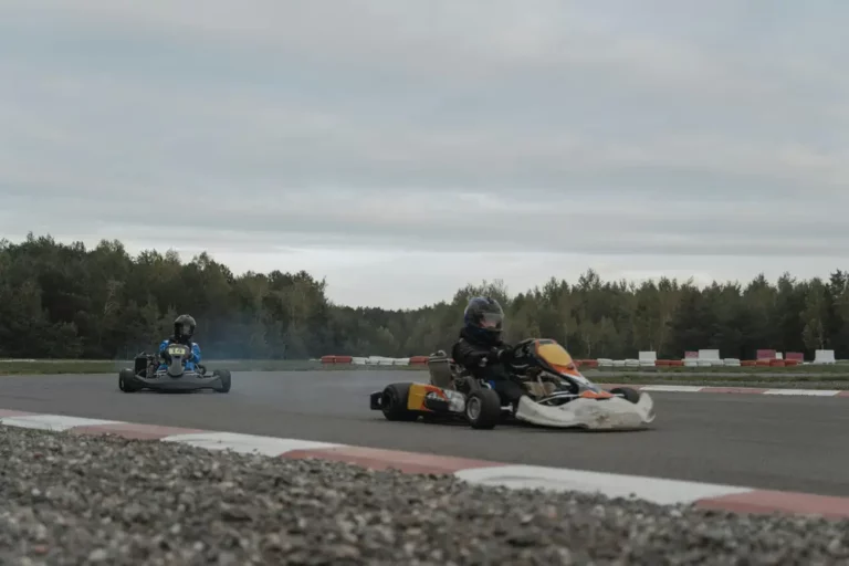Facts About Go-Karts