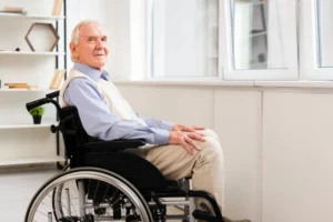 Independent Living for The Elderly