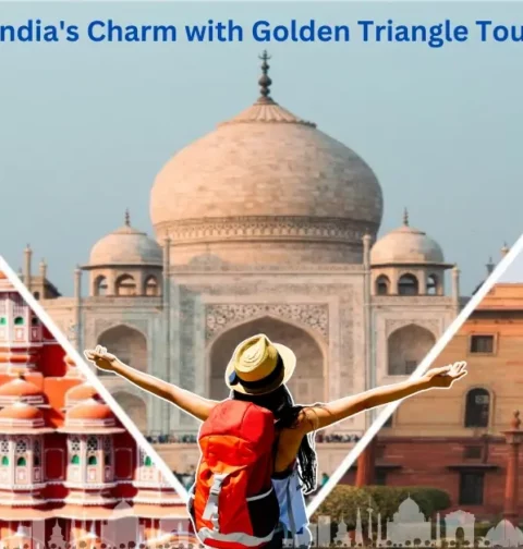 Golden Triangle Tour Packages