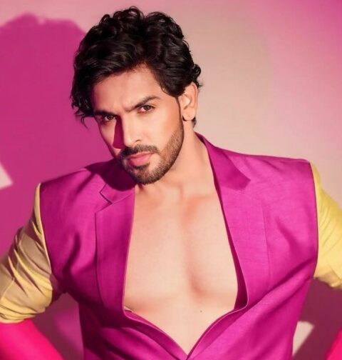 Shehzada Dhami - Bigg Boss 18 Contestant