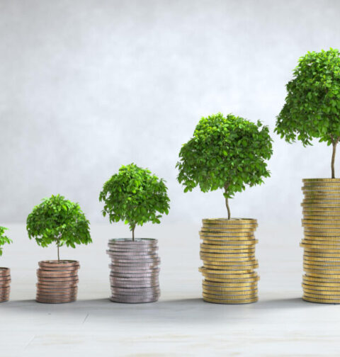 Investing Future with Proven Wealth Creation Strategies