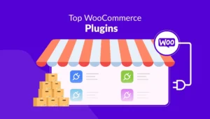 WordPress Plugins for your WooCommerce Store