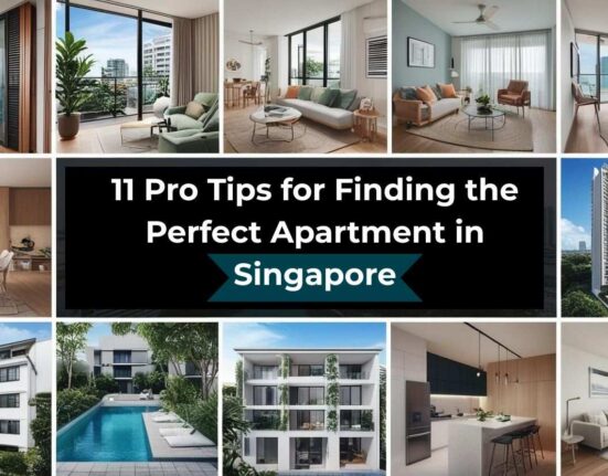Pro Tips for Finding the Perfect Apartment in Singapore