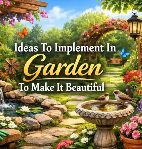 Ideas To Implement In Garden