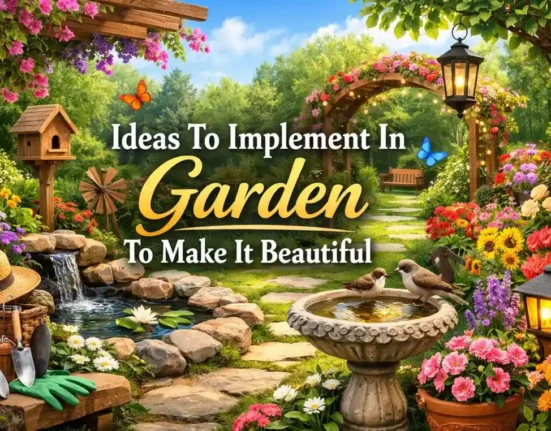 Ideas To Implement In Garden