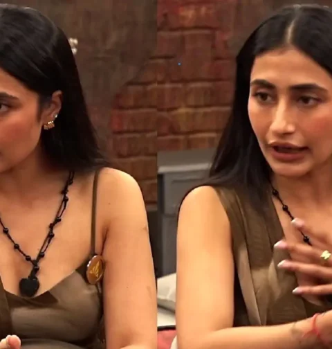 Dhanashree Verma - Rise and Fall Season 1