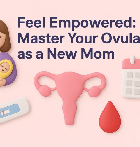 Master Your Ovulation as a New Mom