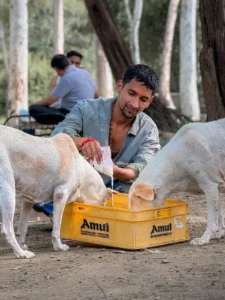 Aman Sharma Khachra Bio