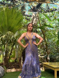 Aanchal Tiwari Panchayat 2