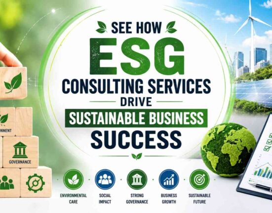 ESG Consulting Services
