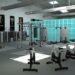 Top 10 Gym Equipment Brands in India