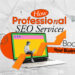 Professional SEO Services
